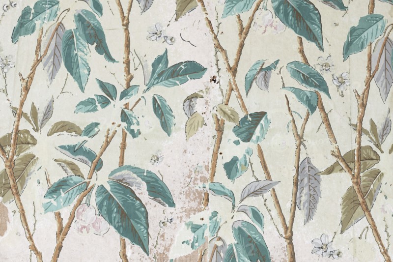 Wallpaper in the garden house, Mount Edgcumbe Country Park, Cornwall, 2019. Creator: Steven Baker.