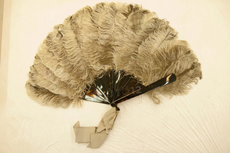 Fan, France, 1875/1880. Creator: Unknown.
