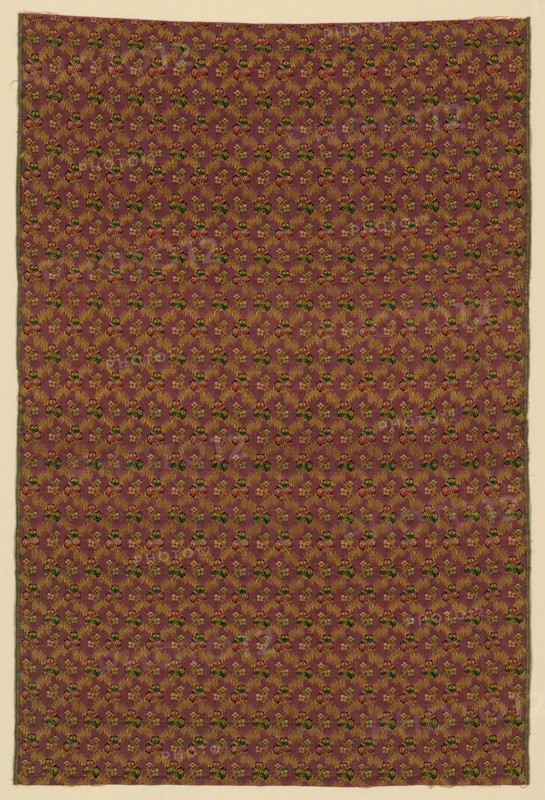 Panel (Man's Suiting Fabric), France, 1801/25. Creator: Unknown.