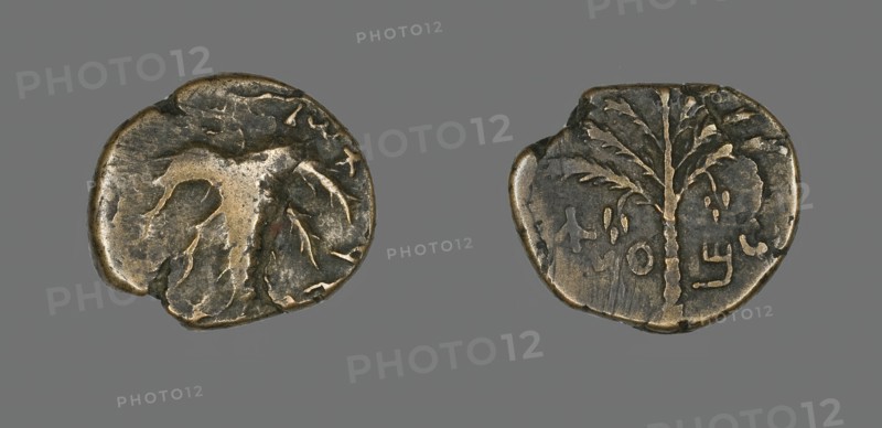 Coin Depicting a Palm Tree, 132-135. Creator: Unknown.