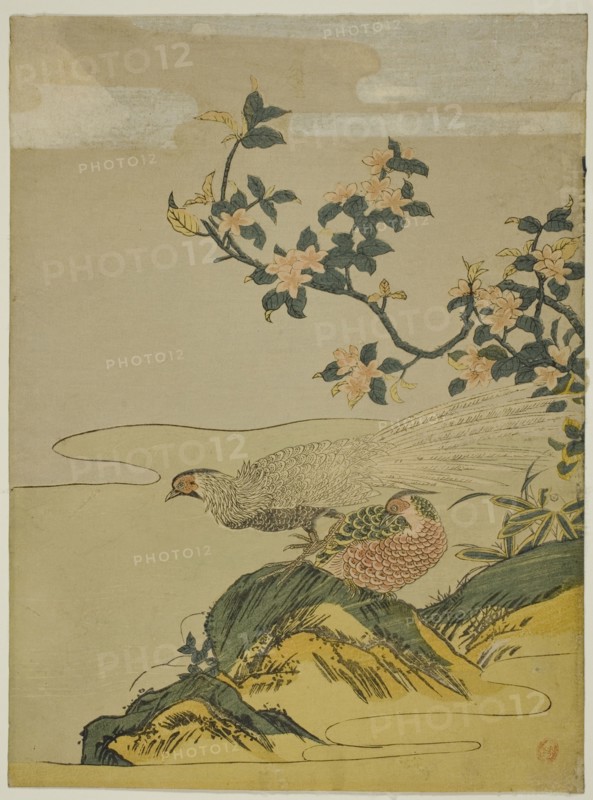 Pheasants under Branch of Peach Blossoms, c. 1764/75. Creator: Isoda Koryusai.