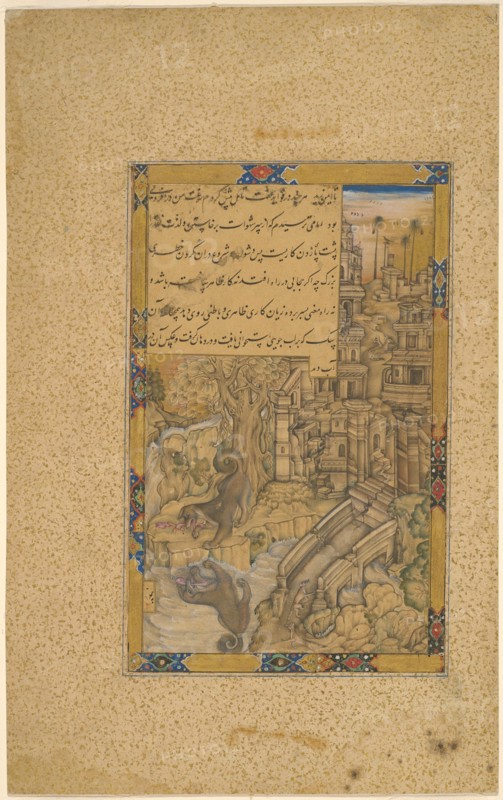 The Greedy Dog, , late 16th century. Creator: Farrukh Chela.