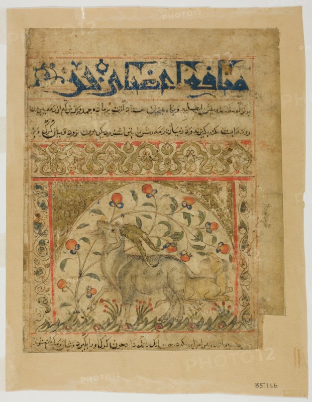 Two Goats from Manafi' al-Hayawan (On the Usefulness of Animals) of Ibn Bakhtishu', c.1300. Creator: Unknown.