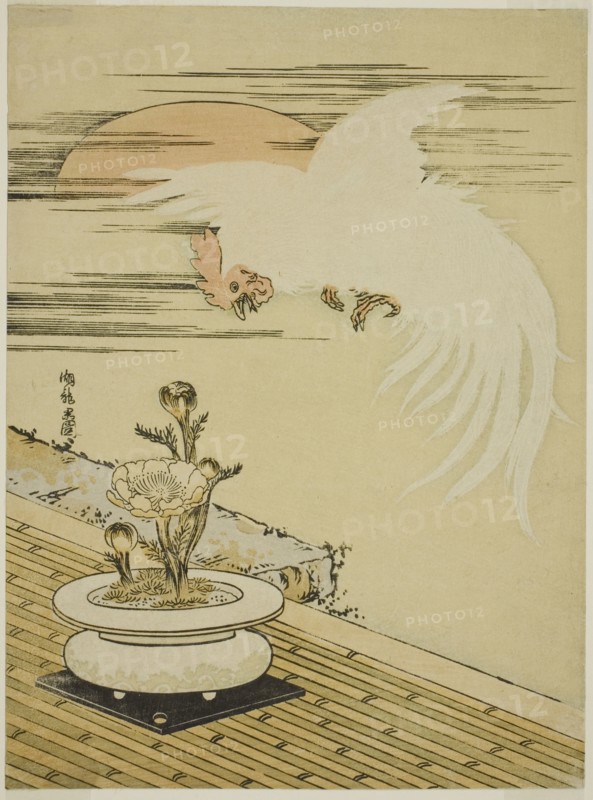 Cock Flying Over Pot of Adonis, c. 1770s. Creator: Isoda Koryusai.