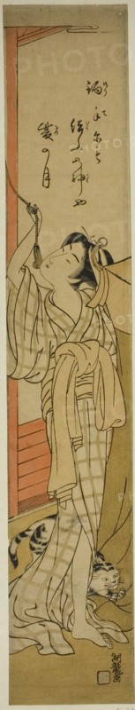 Young Woman Hanging a Mosquito Net as Cat Plays at Her Feet, c. 1774. Creator: Isoda Koryusai.
