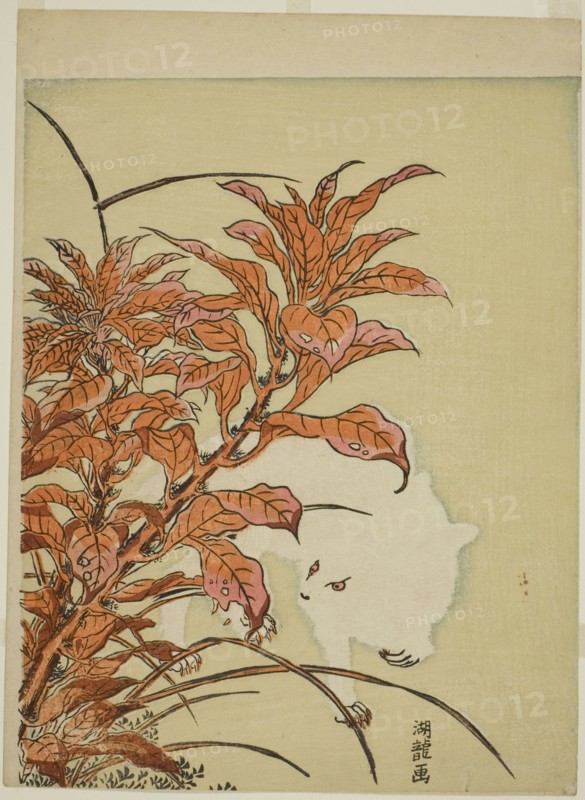 White Rabbit and Amaranth, c. 1771. Creator: Isoda Koryusai.