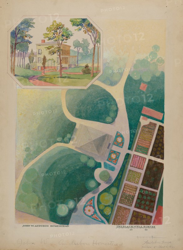 J. Audubon Estate, c. 1936. Creators: George Stonehill, Gilbert Sackerman.