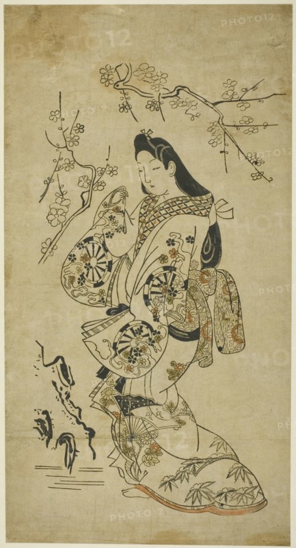 A Young Woman Walking near a Plum Tree, c. 1688.