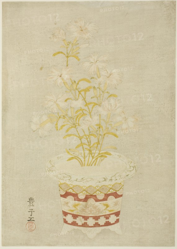 Pinks in a Porcelain Pot, c. 1765.