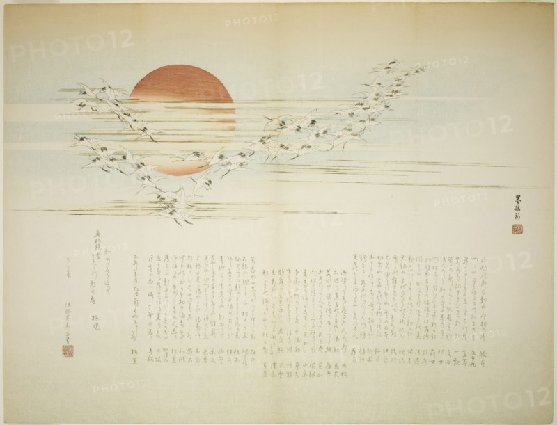 Multitudes of Cranes, spring 1863.