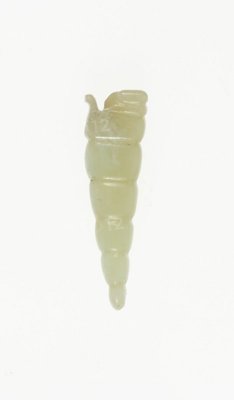 Silkworm Pupa Pendant, Shang or Western Zhou period, 13th/10th century B.C.
