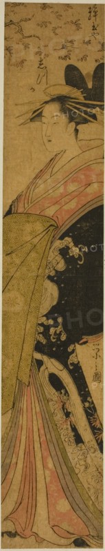 The Courtesan Shizuka of the Shizutamaya, 1790s.