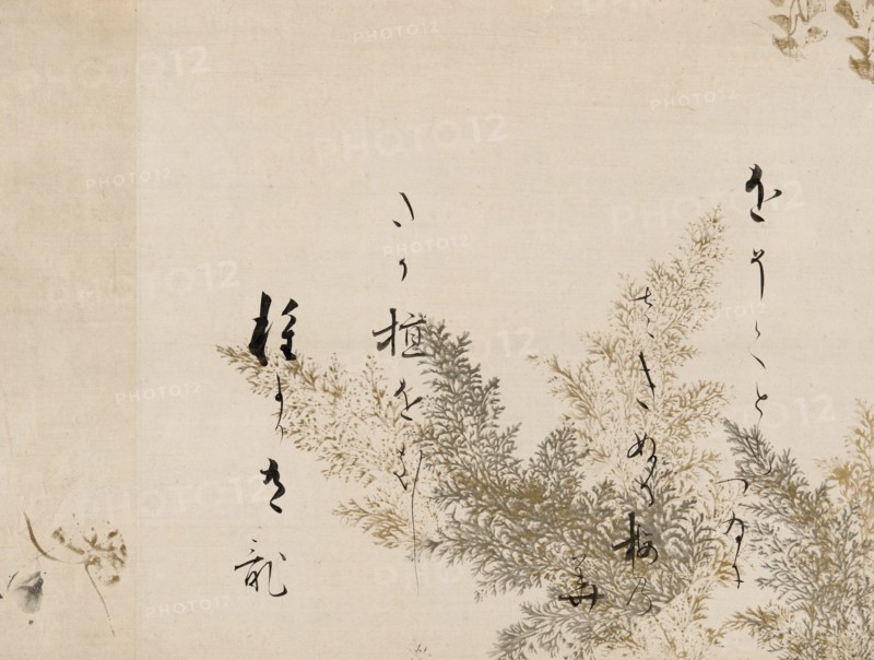 A Poem from the Shin Kokinshu with Design of Shinobugusa (Moss Fern), 1605-10.