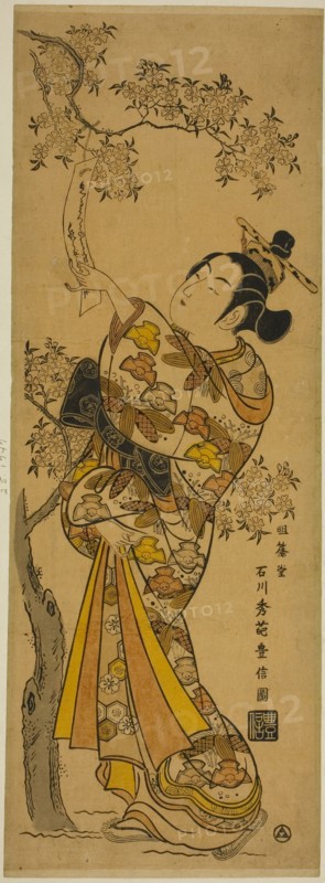Young Woman Reading Tanzaku Tied to a Cherry Tree, c. 1741.