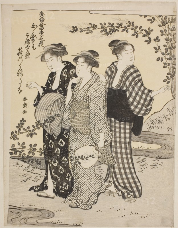 Bush Clovers in Summer, from the series "Choicest Odes Upon Flowers of the Four Seasons (Shuku awase, shiki no hana)", c. 1792.
