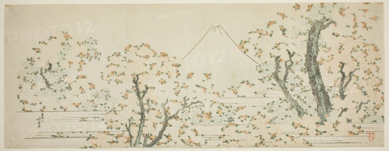 Mount Fuji with Cherry Trees in Bloom, Japan, c. 1801/05.