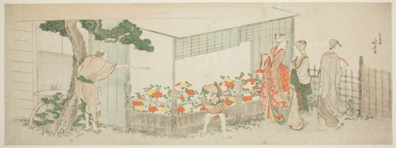 The Peony Show, Japan, c. 1799.