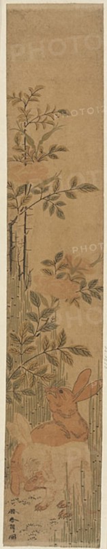 Hares and Roses, Japan, c. 1783.