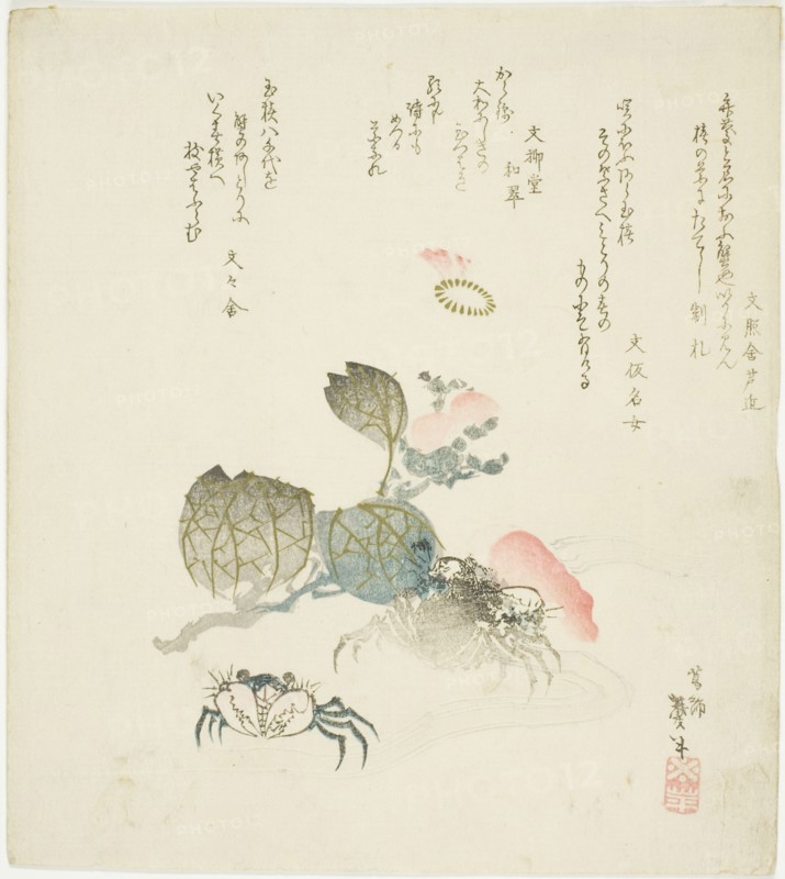 Two crabs by a spray of camellia, Japan, late 1820s-early 1830s.