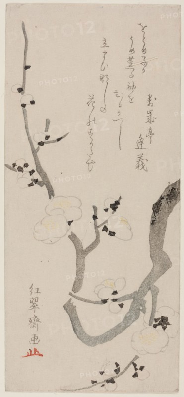 Plum Branch, Japan, late 18th century.