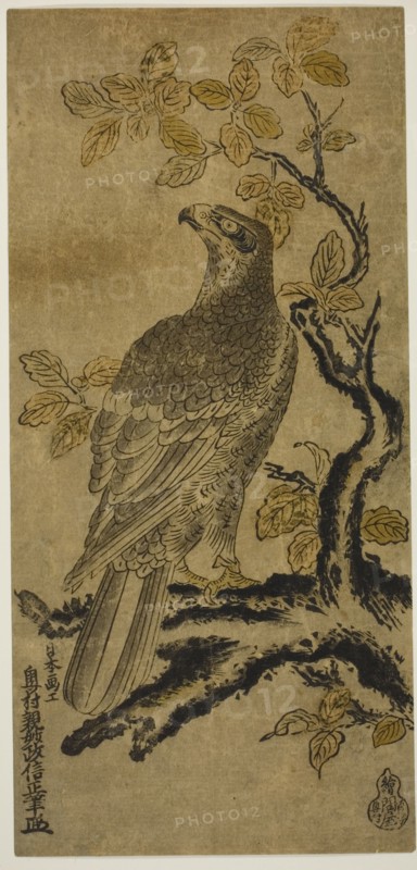 A Hawk on a Kiri Tree, c. 1720/25.
