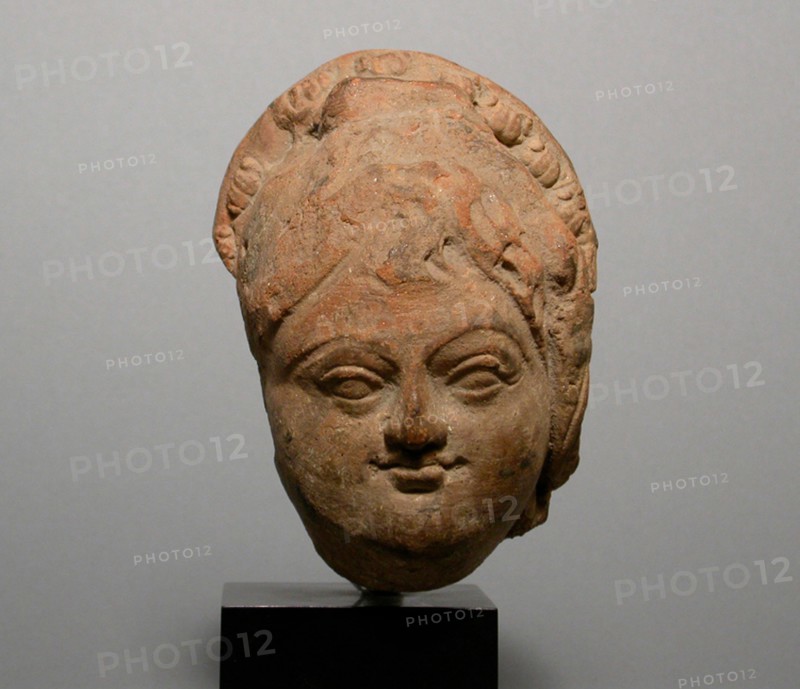 Female Head, 4th/6th century. Ancient region of Gandhara (modern India or Pakistan).