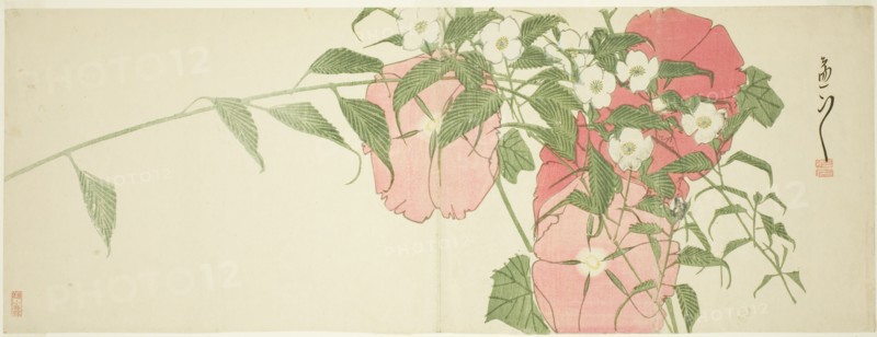 Flowers, early 19th century.