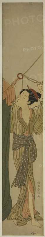 Hanging Up a Mosquito Net, c. 1767/68.