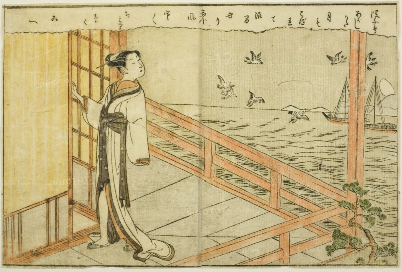 Double-page Illustration from Vol. 2 of "Picture Book of Spring Brocades (Ehon haru no nishiki)", 1771.