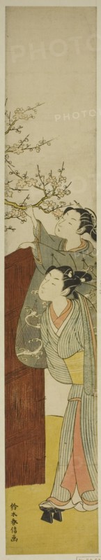 Picking a Plum Branch, c. 1767/68.