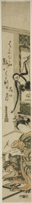 Young woman and gibbon, second half of 18th century.