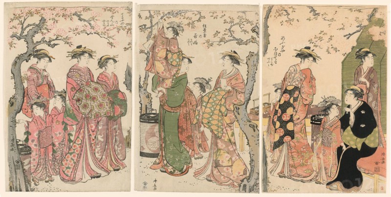 Courtesans and Their Child Attendants under Blossoming Cherry Trees, 1785. Left-hand panel: the courtesans Senzan, Yasono, and Yasoji of the Chojiya.