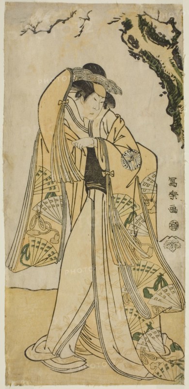 The actor Sakakiyama Sangoro as Princess Odae, the daughter of the Senior Regent Michinaga, 1794.