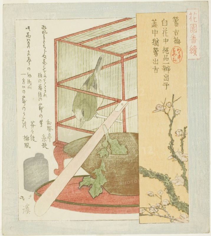 Warbler in a cage, from the series "A Series for the Hanazono Group (Hanazono bantsuzuki)", 1823.