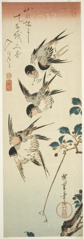 Swallows and Cherry Blossoms, early 1830s.