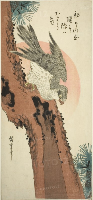 Falcon on a Pine Tree with the Rising Sun, c. 1835.