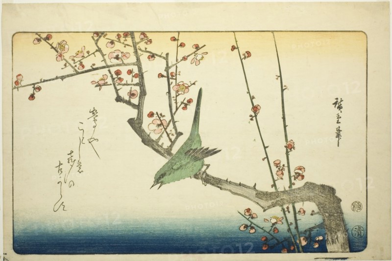 Bush warbler on plum branch, 1840s.