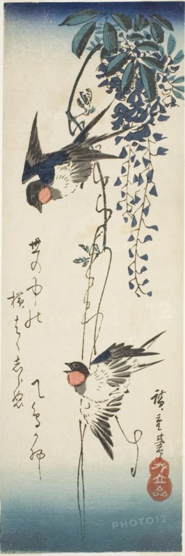 Swallows and wisteria, 1840s.