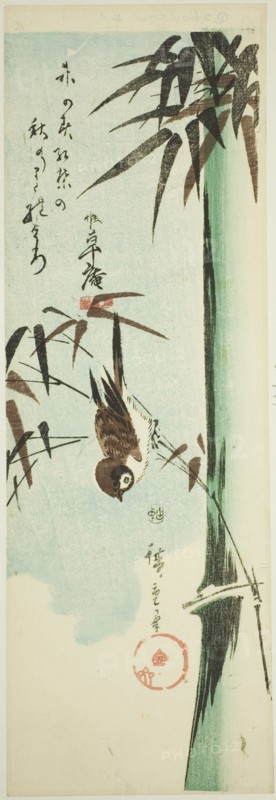 Sparrow and bamboo, c. 1843/47.