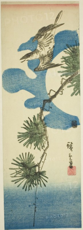 Cuckoo, Pine Branch, and Full Moon, c. 1843/47.