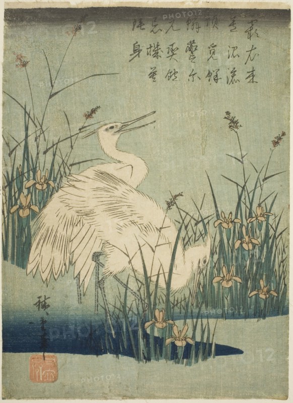 White herons and iris, c. 1830s.