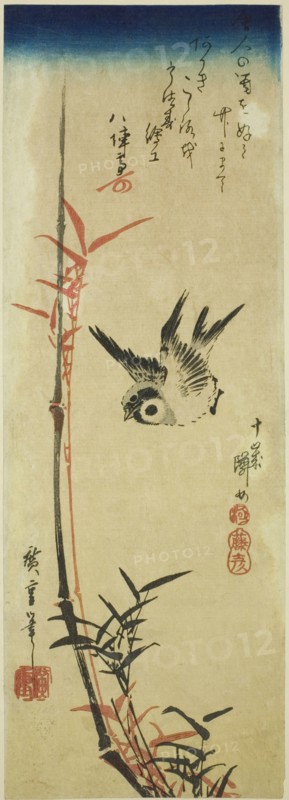 Sparrow and bamboo, mid-1830s.