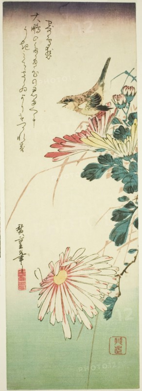Bird and chrysanthemums, 1830s.