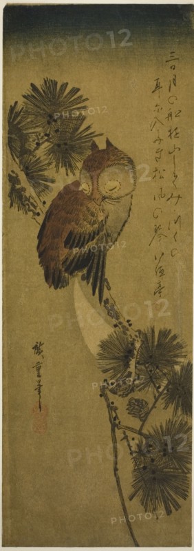 Small-horned owl, pine, and crescent moon, 1830s.