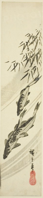 Fish in a stream, c. 1840.