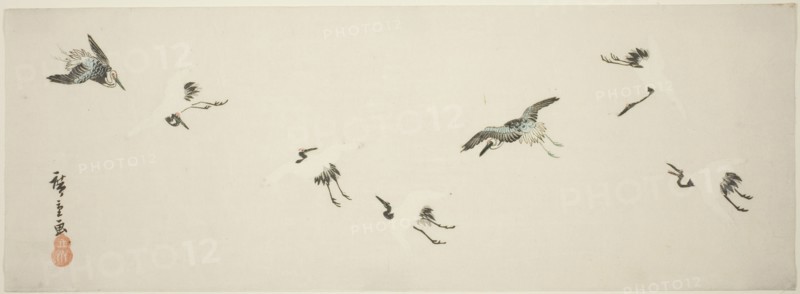 Cranes in flight, n.d.