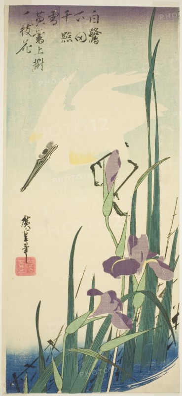 White heron and iris, c. 1832/34.
