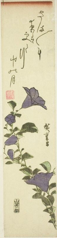 Chinese Bell Flowers, c. 1830s.