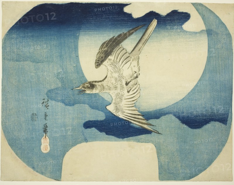 A Cuckoo against the Moon, c. 1843/46.