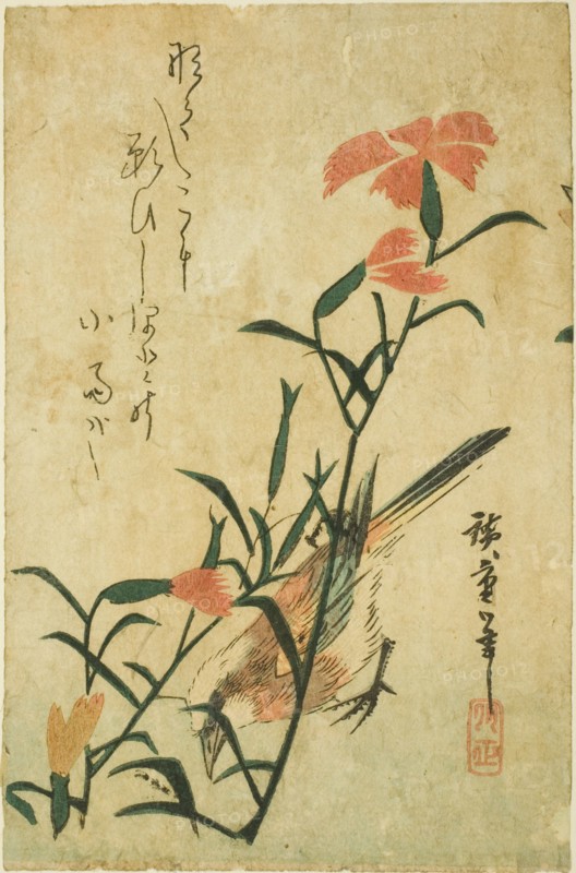 Bird and wild carnation, c. 1830s.
